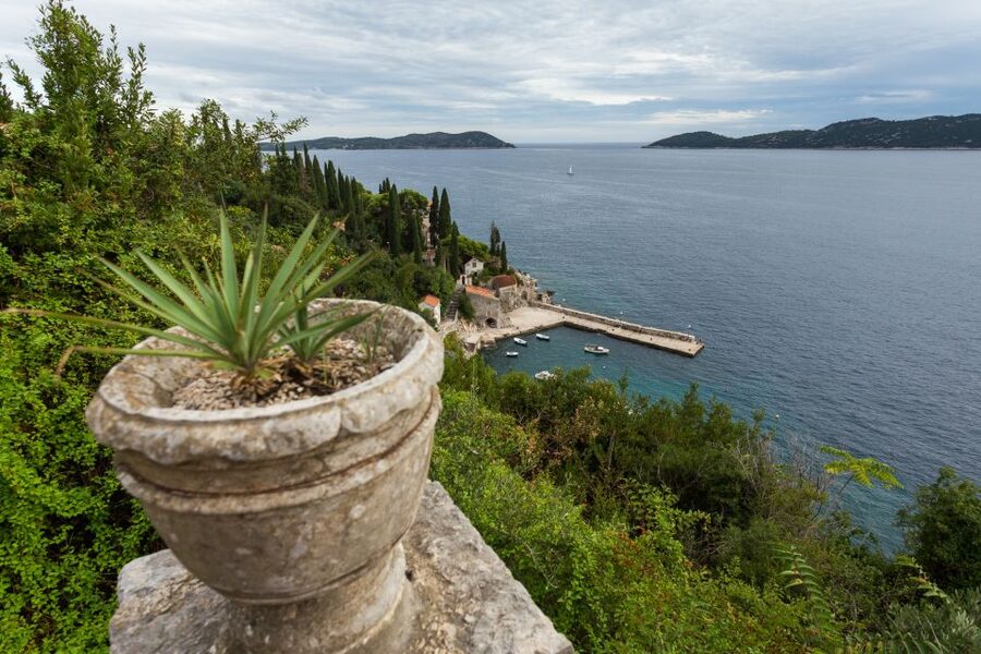 Dubrovnik: Game of Thrones Full-Day Private Tour - Coast-to-Citadel Drive to Trsteno Arboretum