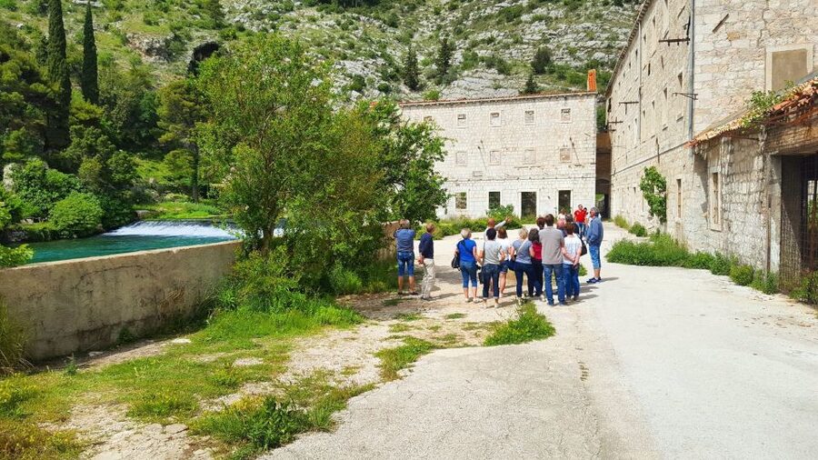 Dubrovnik: Guided Sightseeing Tour by Minivan - Old Town time after the viewpoints, and how to use it wisely