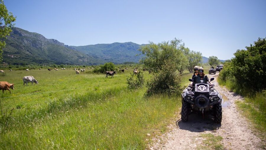 Dubrovnik: Kojan Koral ATV Quad Safari with transport - Çilipi village break and what you can do at the church and Country House