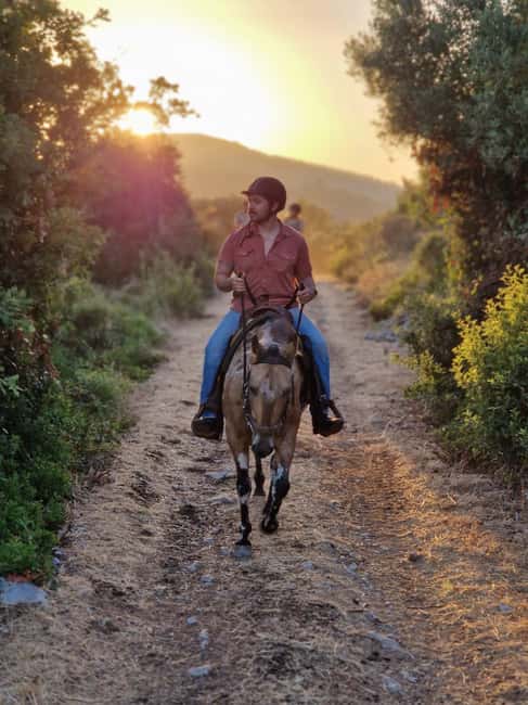 Dubrovnik Kojan Koral: Horseback Riding - Key things I’d underline before you book