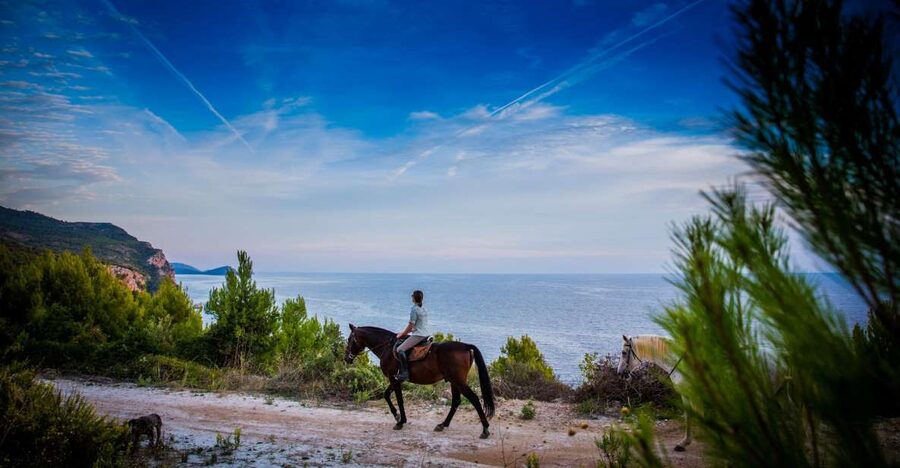 Dubrovnik Kojan Koral: Horseback Riding - Kojan Koral horseback riding in Konavle: the calm way to see Dubrovnik from a different angle