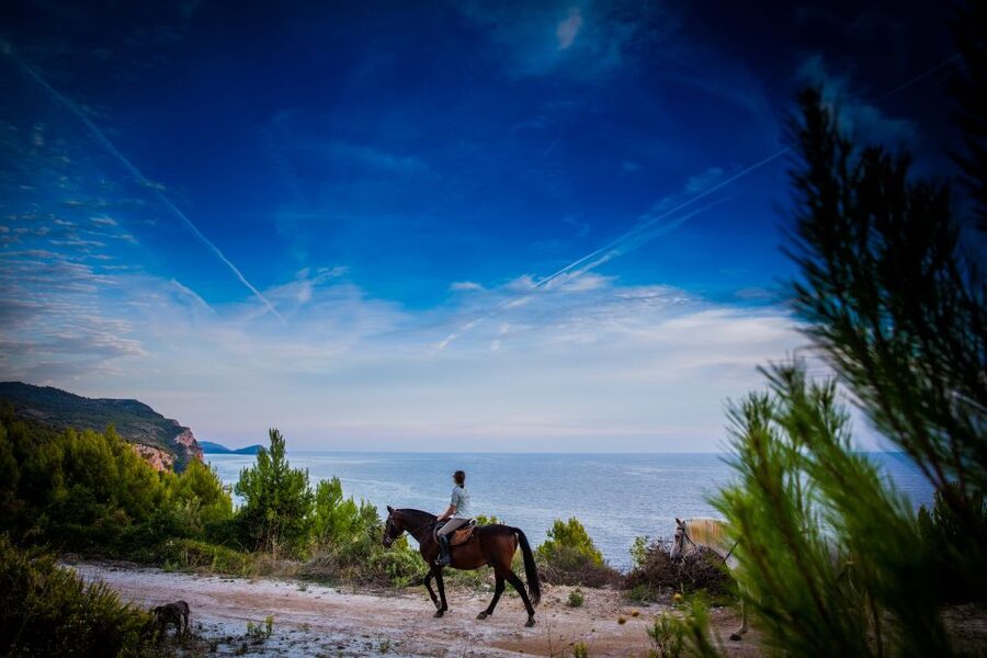 Dubrovnik Kojan Koral: Horseback Riding - Meeting the horses and learning the basics without feeling rushed