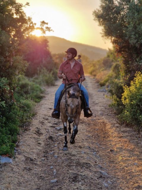 Dubrovnik Kojan Koral: Horseback Riding - Pickup timing, small group setup, and how the 4-hour experience flows