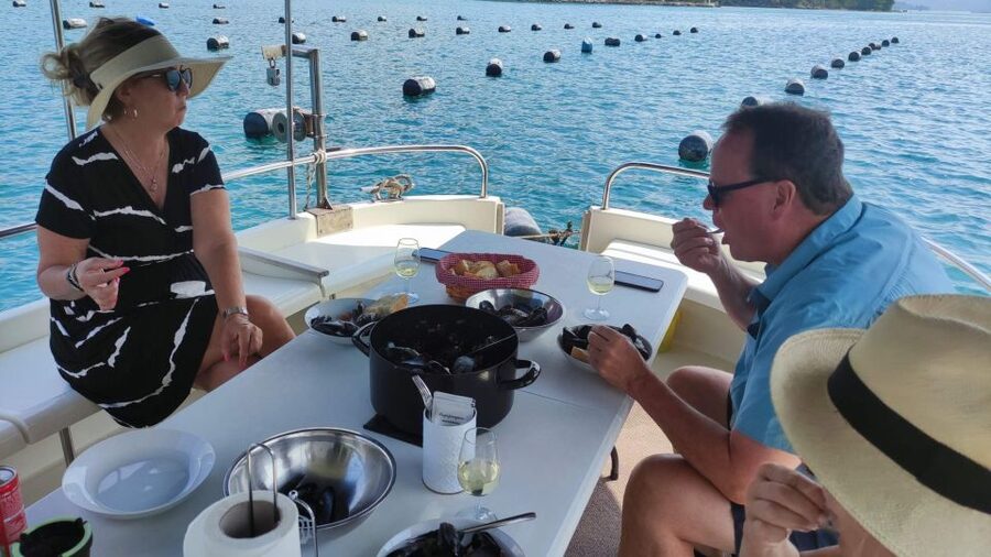 Dubrovnik: Oyster, Mussles, and Wine Tasting Tour in Ston - Key highlights to look forward to