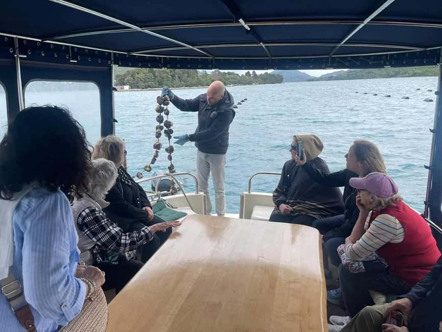 Dubrovnik: Oyster, Mussles, and Wine Tasting Tour in Ston - Who this tour is best for (and who should skip it)