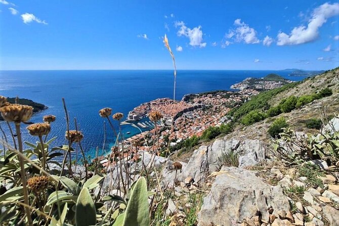 Dubrovnik Panoramic Sightseeing Tour with Guide (minivan) - Getting to the right places without wasting time