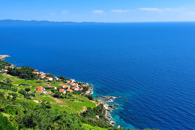 Dubrovnik Private Wine Tasting Tour to Peljesac Peninsula - Dubrovnik to Pelješac in One Day, Without the Headache