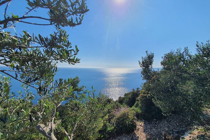Dubrovnik Private Wine Tasting Tour to Peljesac Peninsula - Pickup From Your Address, Plus Time to Plan