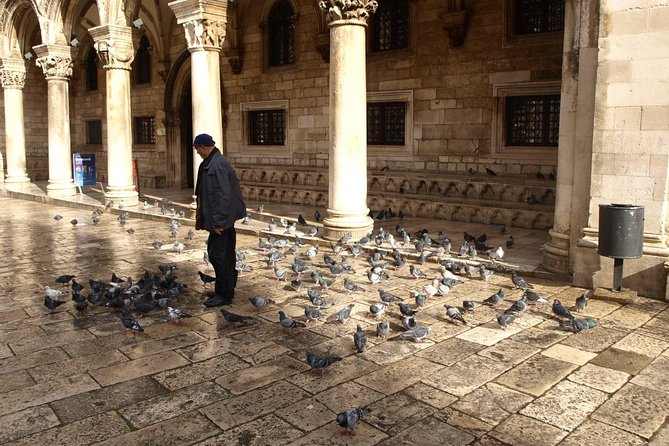 Dubrovnik's Old Town Walking Tour - The guide experience: why names like Mihalija, Victor, and Nera keep showing up