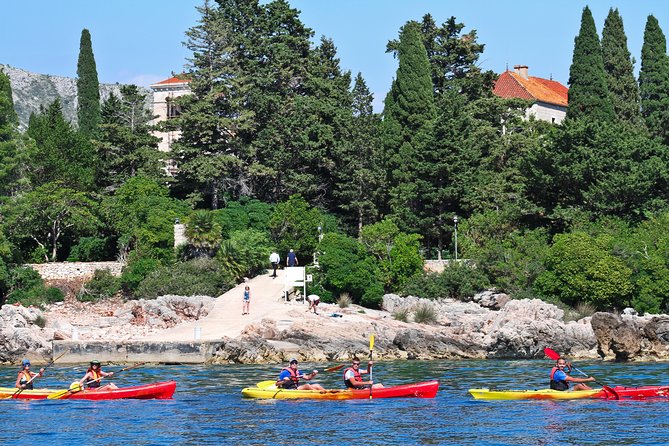 Dubrovnik: Sea Kayaking & Snorkeling Tour - Paddling effort: calm for many, a workout for others