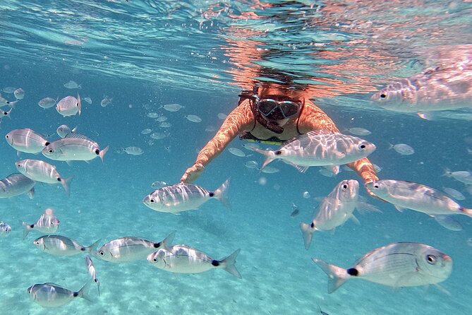 Dugi Otok Island Discovery Day Tour from Zadar - Timing, Fitness, and the Swimming Reality Check