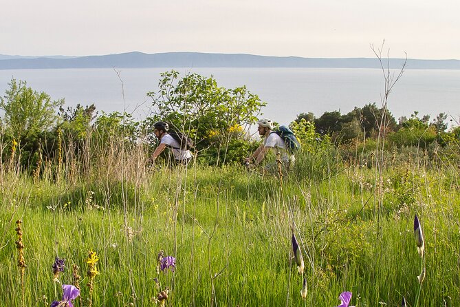 E-Bike Tour at Historical Villages of Makarska - Price and value: what $75.19 buys, and what might cost extra