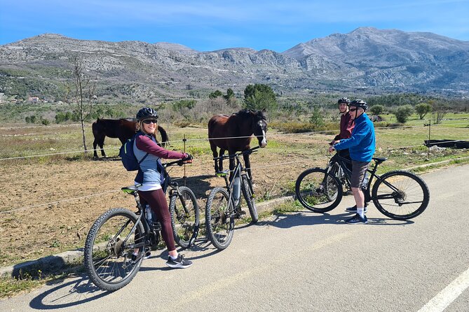 E-Bike Tour + Gourmet Lunch + Wine Tasting (Small Group) - Price and value: why $226.88 per person can make sense