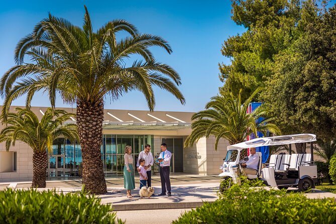 E-Tuk Tuk Tour in Dubrovnik - Srđ mountain viewpoints: Old Town views plus 20 minutes on your own