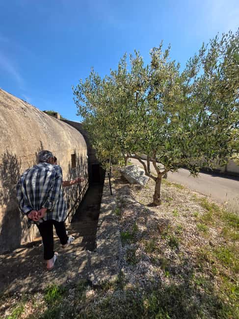 Eco tuk tuk Highlights of Zadar - The Off-the-Main-Road Stop: Where You Get More Than Passing Views