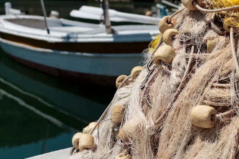 Elaphiti Islands: Full-Day 3-Island Tour with Lunch - Price and value: what $74 buys you in a Dubrovnik setting