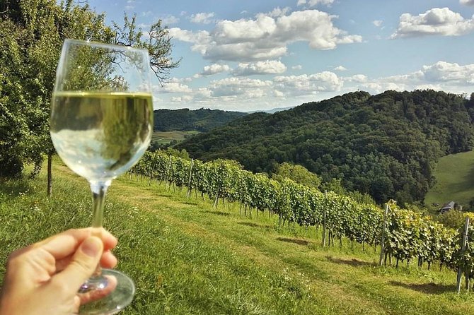 Fairytale Castle & Wine Tasting & Lunch - The food and wine pairing logic you will actually appreciate