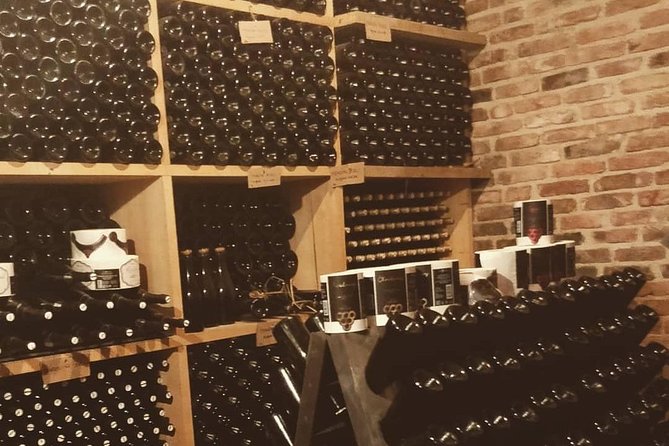 Fairytale Castle & Wine Tasting & Lunch - Views from Vuglec Breg: why the winery setting matters