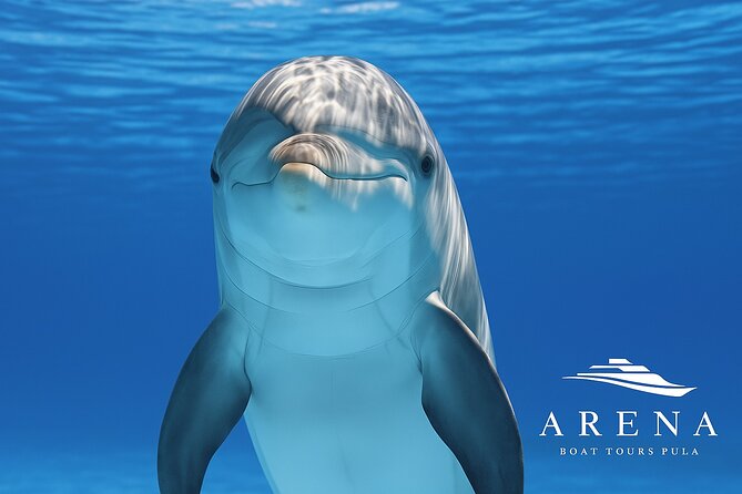 Fantastic DOLPHIN & SUNSET TOUR with dinner ( Pula-NP BRIJUNI ) - First Stop: Pula Harbour at Golden Hour