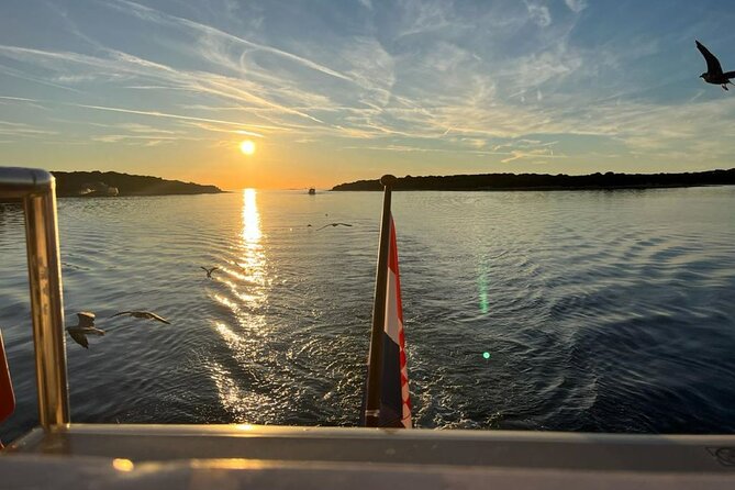 Fantastic DOLPHIN & SUNSET TOUR with dinner ( Pula-NP BRIJUNI ) - Dino Park Along the Way: A Fun Detour You Can Actually Enjoy