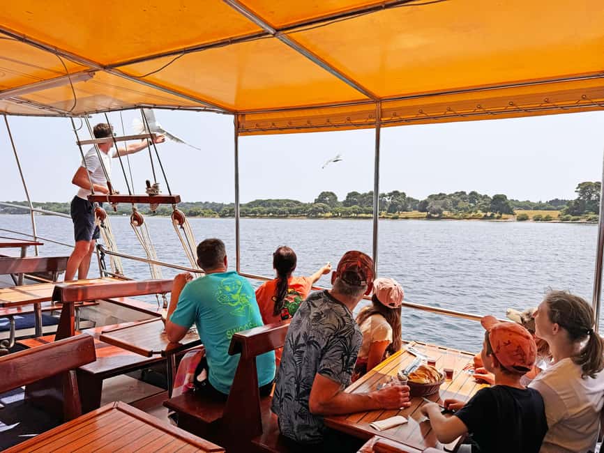 Fazana: Dolphin Finder in Brijuni islands Safari with Dinner - Fažana to Brijuni at sunset, why this short cruise works
