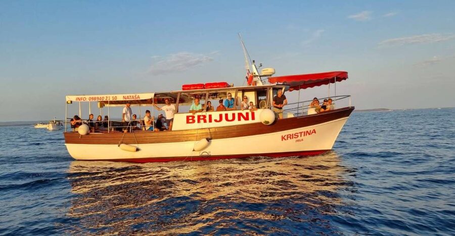 Fazana: Guided Dolphin Watching Sightseeing Cruise at Sunset - Dolphin spotting odds: what the 90% promise means in real life