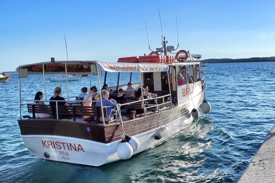 Fazana: Guided Dolphin Watching Sightseeing Cruise at Sunset - The 2-hour window, and why timing matters for dolphins