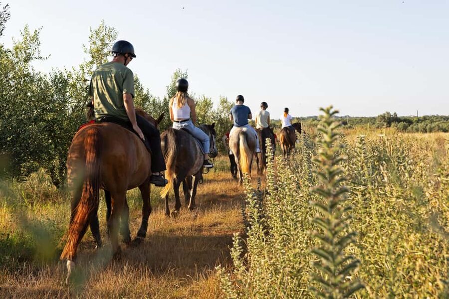 Fazana: Sunset 1-hour Horse Riding in Nature with Guide - My Booking Advice: Choosing the Right Moment and Handling Weather