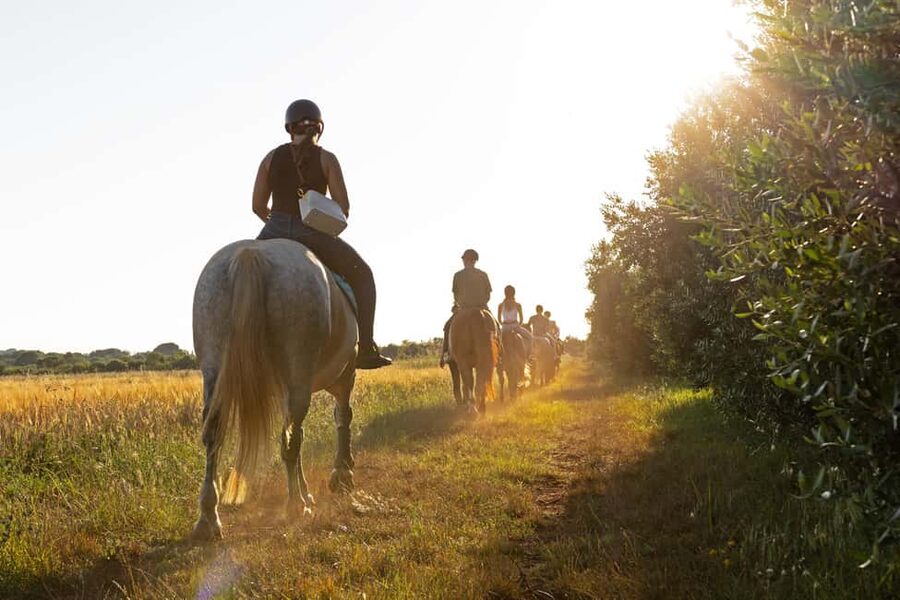Fazana: Sunset 1-hour Horse Riding in Nature with Guide - Fažana at Golden Hour: Why This 1-Hour Ride Works