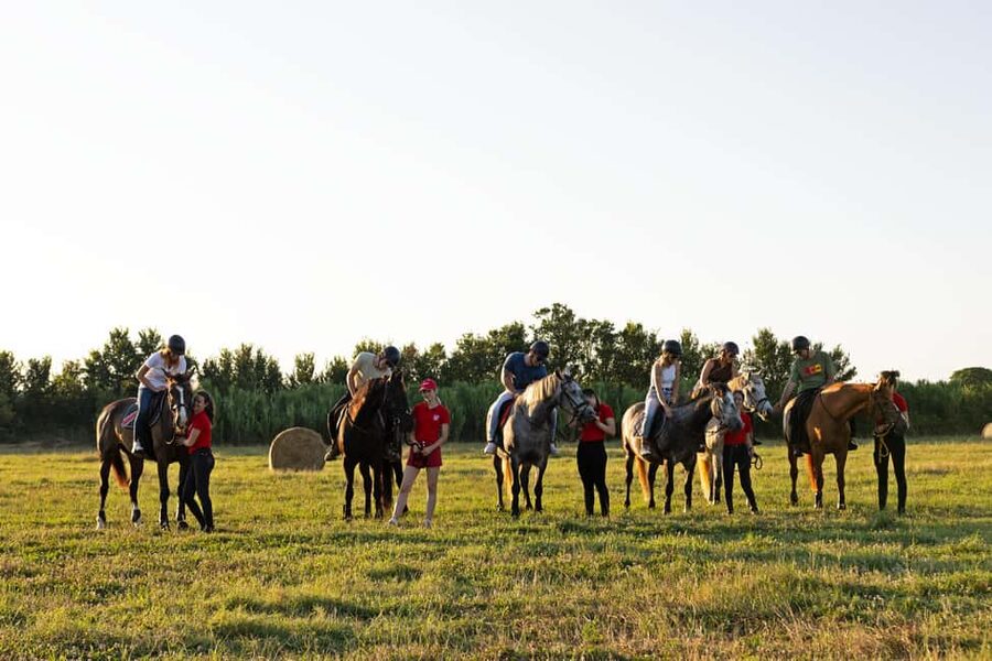 Fazana: Sunset 1-hour Horse Riding in Nature with Guide - The Ride Through Pine Forest, Wildflower Meadow, and Olive Groves