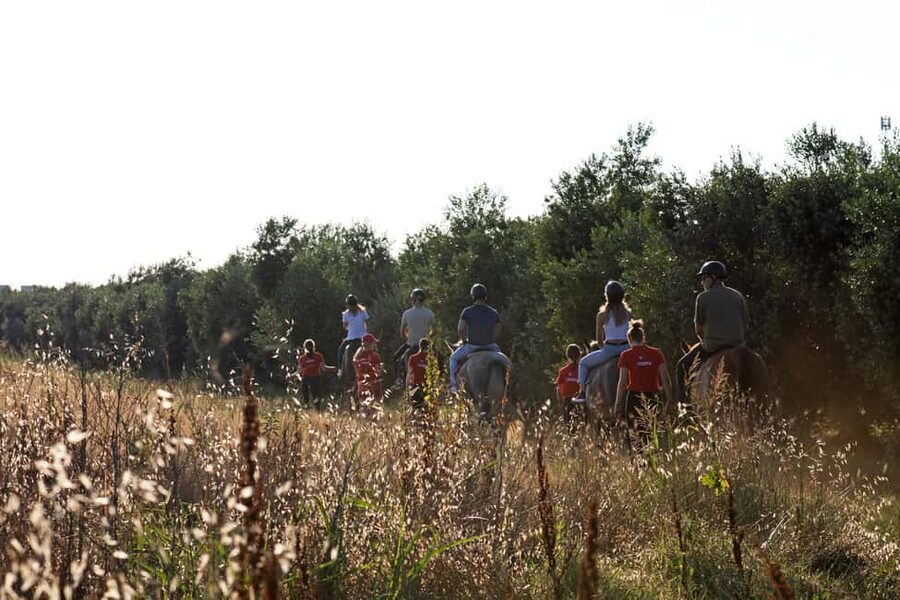 Fazana: Sunset 1-hour Horse Riding in Nature with Guide - Who This Horse Ride Is Best For (and Who Should Skip It)