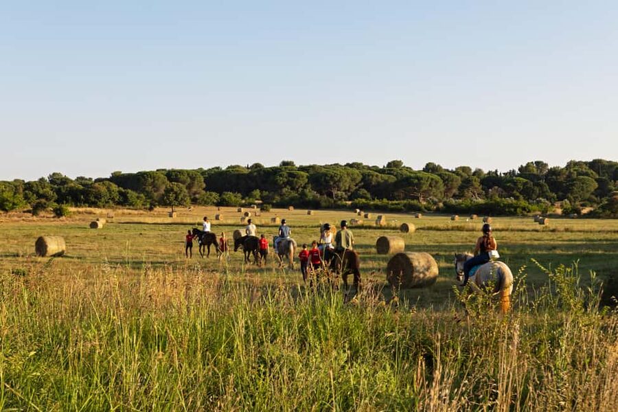 Fazana: Sunset 1-hour Horse Riding in Nature with Guide - Meeting Your Horse at Ranch Laguna Fazana