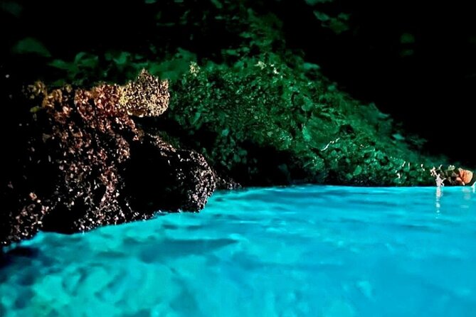 Fd boat-trip Medulin - Blue cave - Cres + lunch + dolphin search - Return Trip Dolphin Search and More Island Views