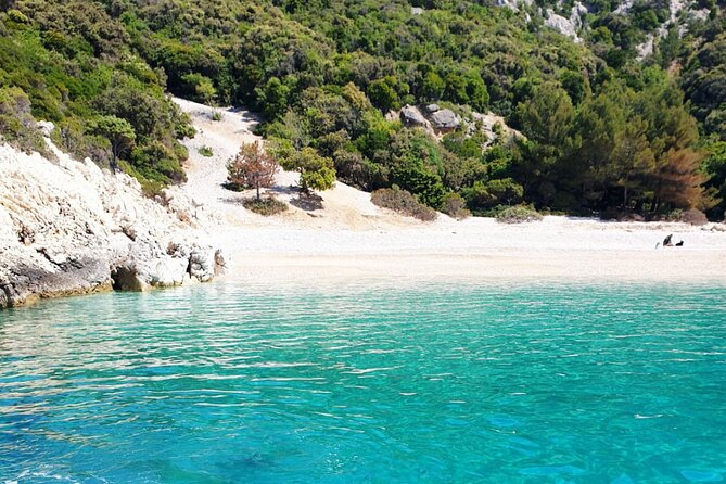 Fd boat-trip Medulin - Blue cave - Cres + lunch + dolphin search - Price and Value: What You Get for $90.51
