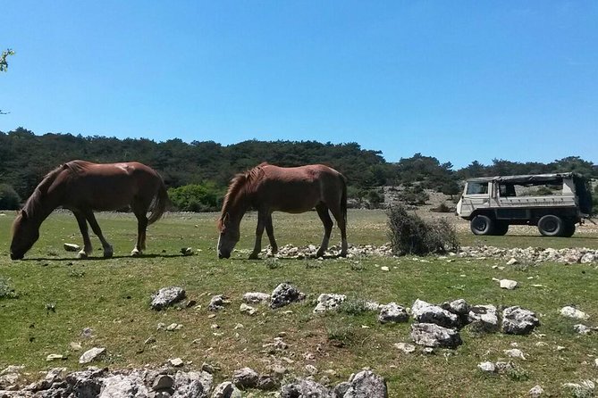 Feel and Taste island Brac with local experts - island adventure to remember - A 4WD military jeep day is the smart way to cover Brac