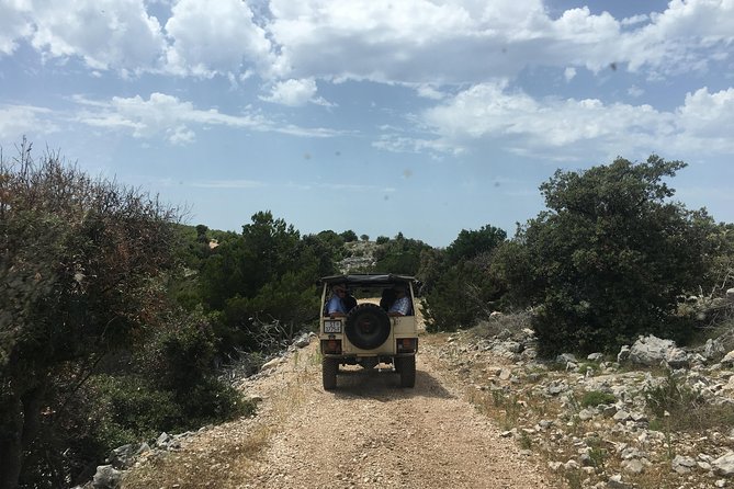 Feel and Taste island Brac with local experts - island adventure to remember - Price value: what $266 buys on Brac