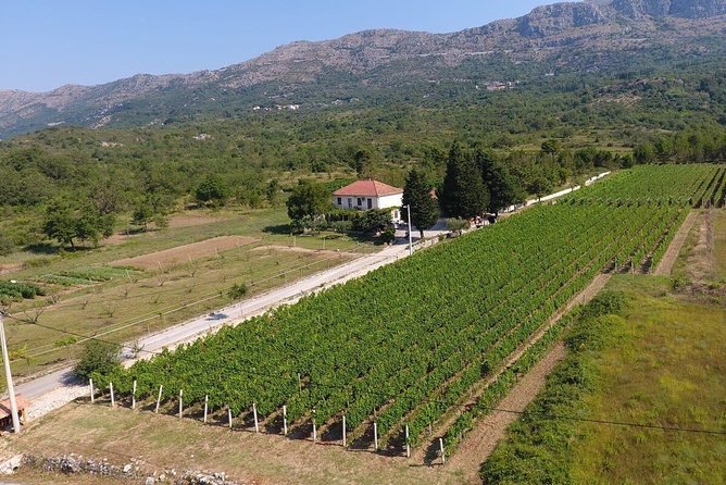 Flavours of Konavle: Wine, Food & Village Life Experience - Konavle Over Dubrovnik: Why This Day Trip Feels Worth It