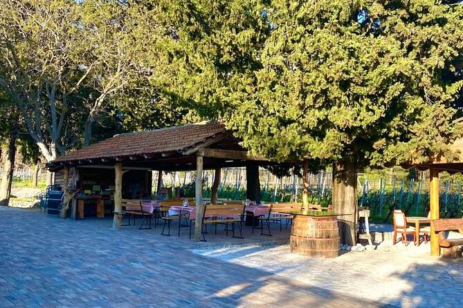 Flavours of Konavle: Wine, Food & Village Life Experience - Timing, Pace, and Who This Works Best For