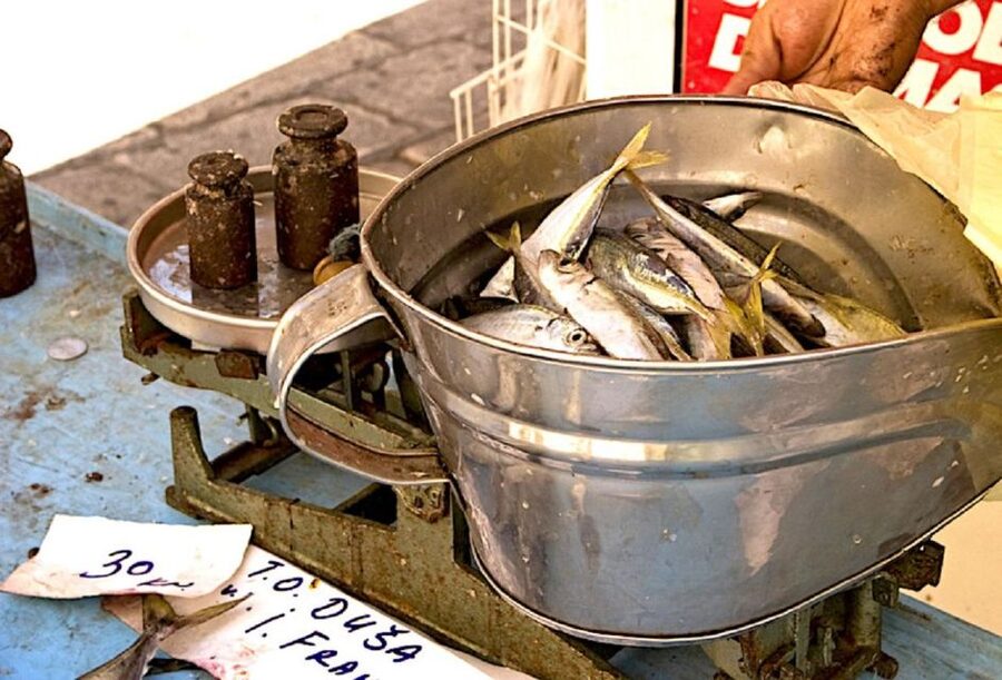 Food Tour in Split ( Small Group) - Guides like Deedee and Bruno: what the tour vibe tends to be