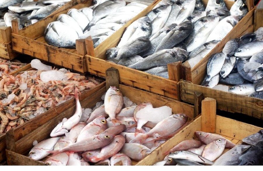 Food Tour in Split ( Small Group) - Split fish market: the Mediterranean buzz, explained
