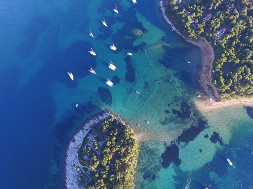 From Biograd: Golden Island of Vrgada Trip with Lunch - The Boat Ride: Pašman, Košara, and Dolphin Odds