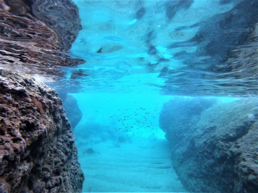 From Dubrovnik: 4-hour Elafiti Islands Private Boat Tour - How to get the best 4 hours (small choices, big payoff)