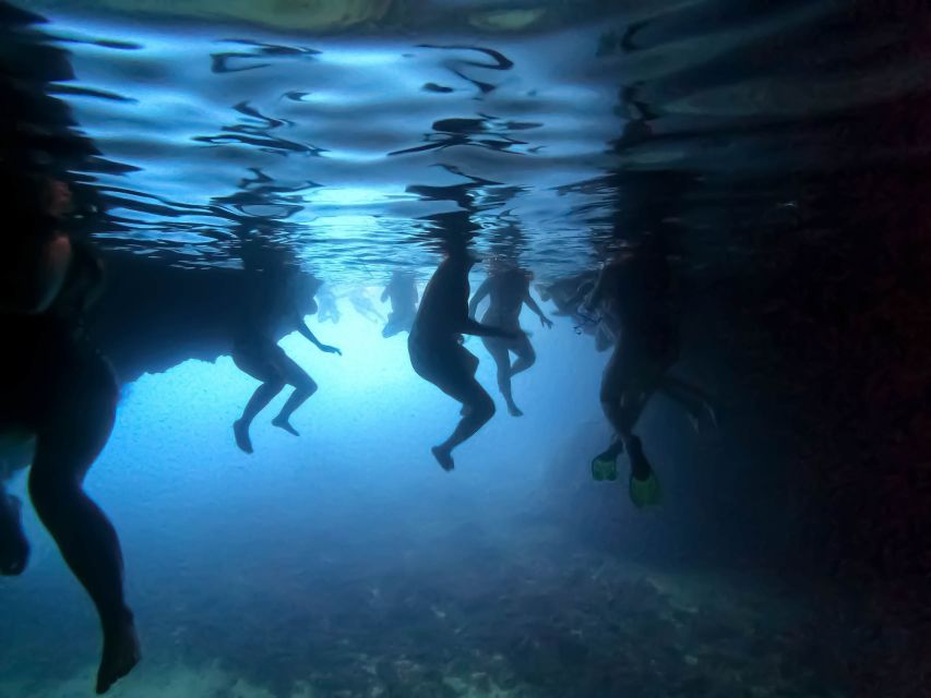 From Dubrovnik/Cavtat: Blue Cave, Sunj Beach Speed Boat Tour - Key highlights to know before you go