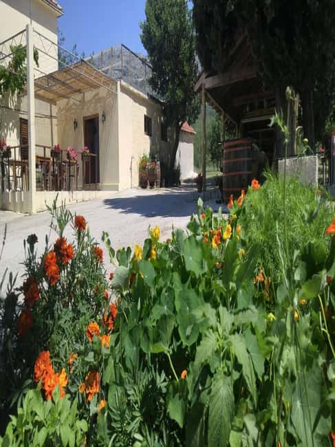 From Dubrovnik: Half-Day Wine Tasting and Cavtat City Tour - Konavle Valley, Where Wine Feels Like a Family Skill