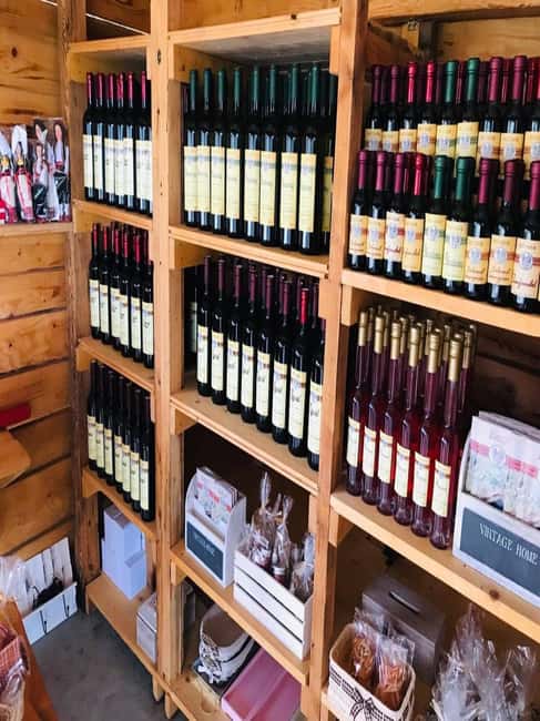From Dubrovnik: Half-Day Wine Tasting and Cavtat City Tour - Cavtat Break: One Hour for Harbor Views and a Sweet Treat