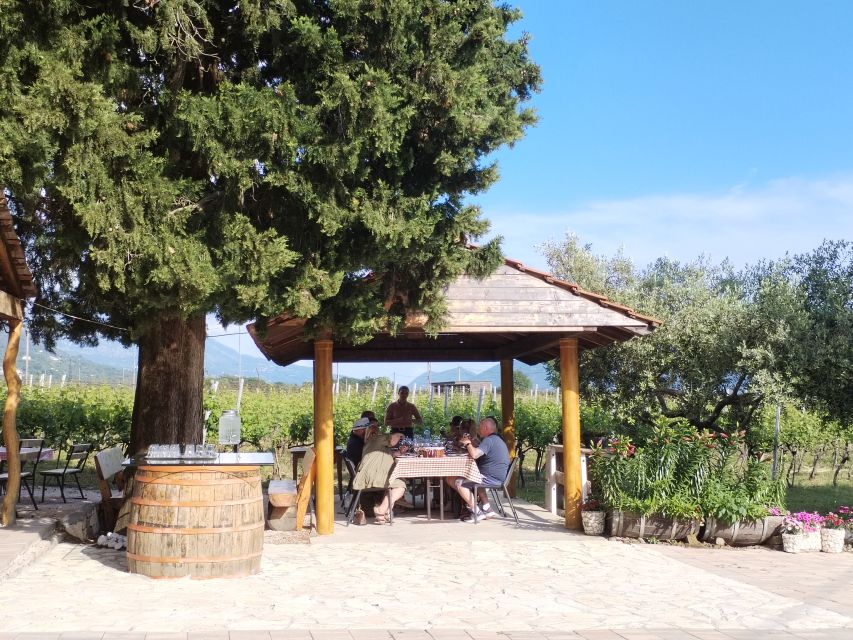 From Dubrovnik: Half-Day Wine Tasting and Cavtat City Tour - Pickup and Transportation From Dubrovnik