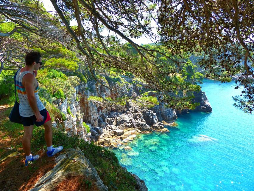 From Dubrovnik: Hiking & Swimming on Koločep Island Day Trip - Guides who turn paths into stories (and offer smart lunch moves)