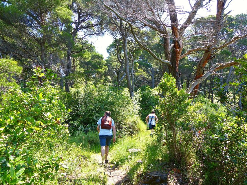 From Dubrovnik: Hiking & Swimming on Koločep Island Day Trip - What to pack for Koločep: shoes, sun gear, and water