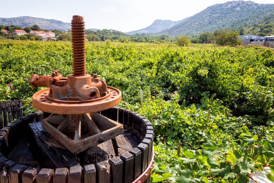 From Dubrovnik: Island of Korčula with wine tasting - The ferry to Korčula: a simple step that makes the day better