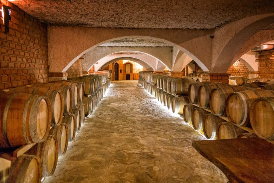 From Dubrovnik: Island of Korčula with wine tasting - Korčula old town and the Marco Polo connection